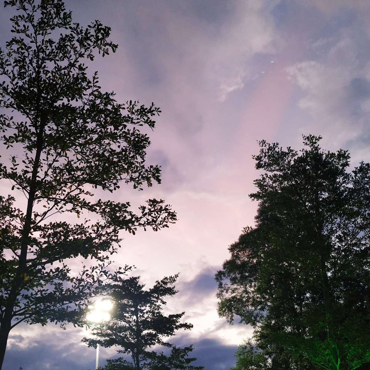 关于分手后的那些事