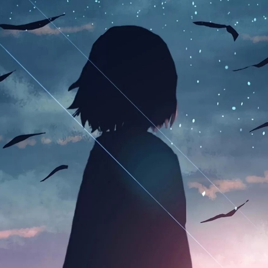 ٩(๑•ㅂ•)۶猫🐱柒的专辑