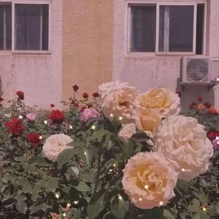 笑一笑吧