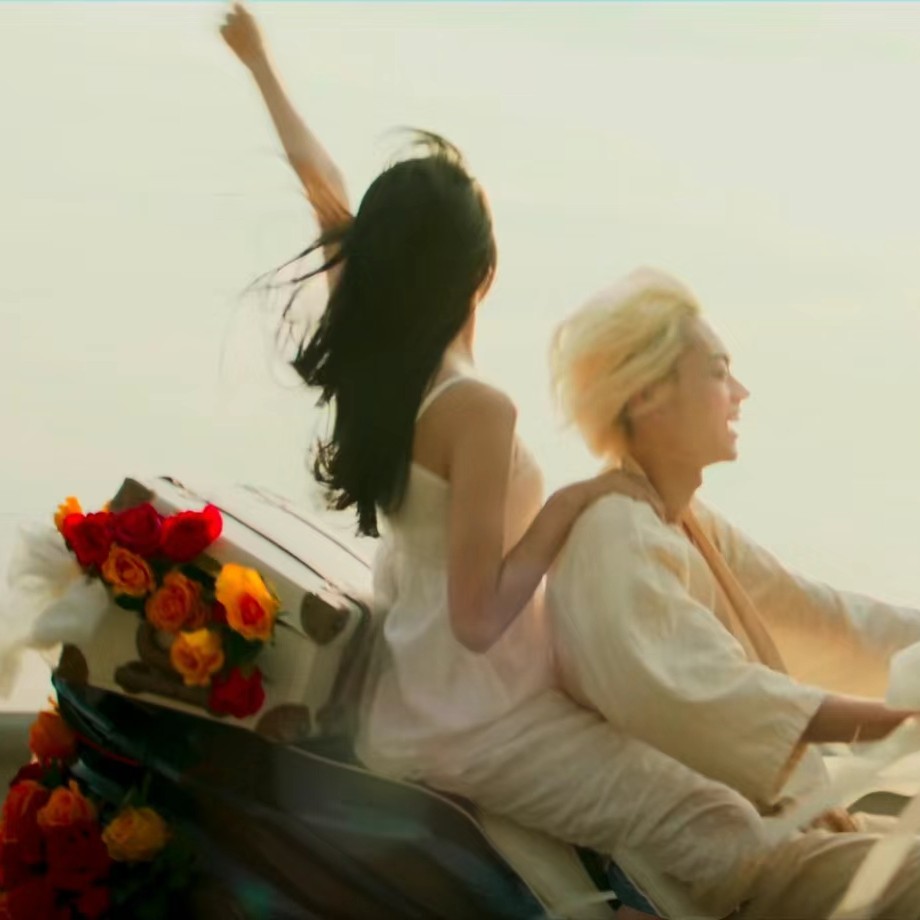 风与自由是人生信条