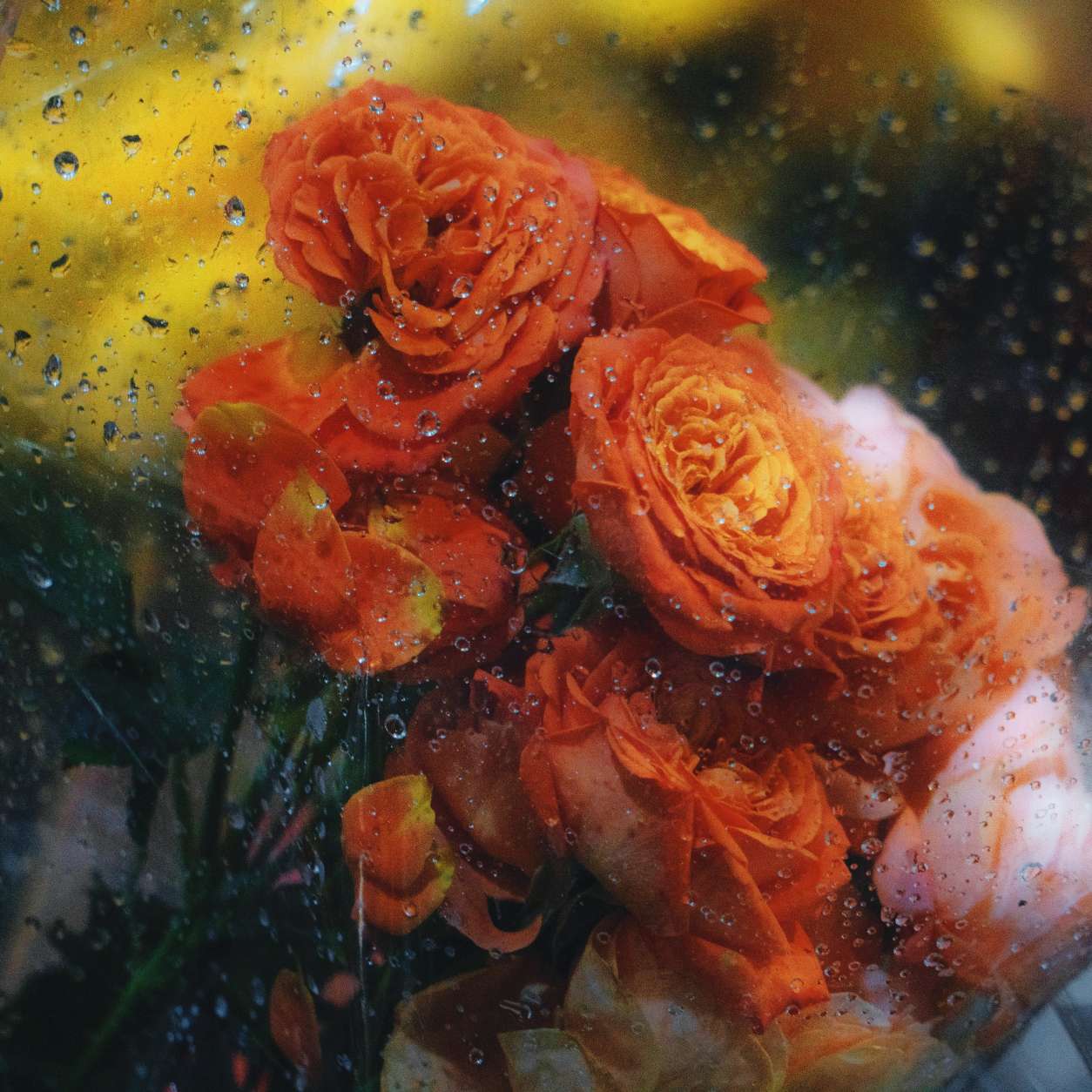 爱和浪漫的最佳诠释