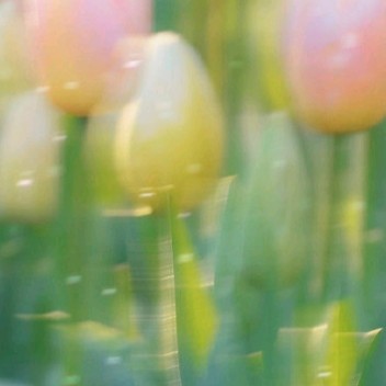 风૮(˶ᵔ ᵕ ᵔ˶)ა