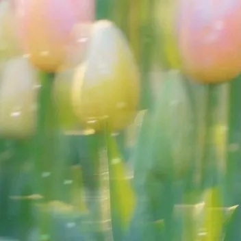 风૮(˶ᵔ ᵕ ᵔ˶)ა