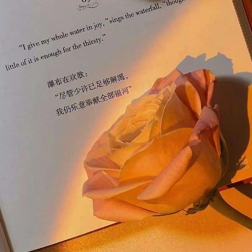 英文的世界，励志的故事