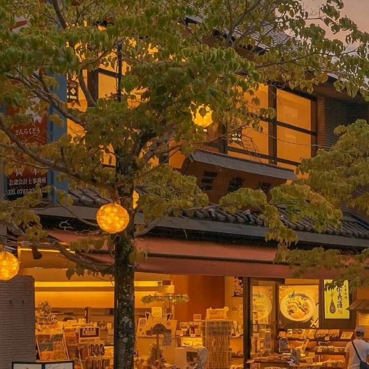 星星永远发着光