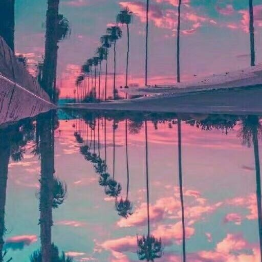 赠自己