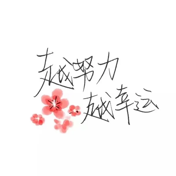鸡汤集