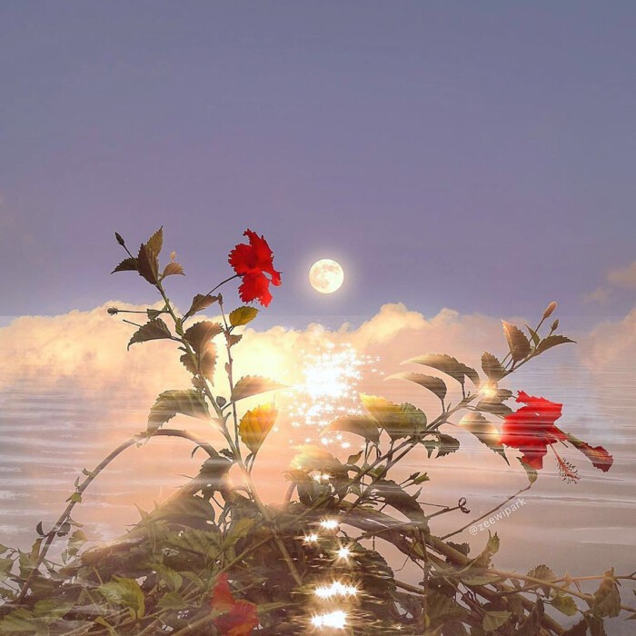 《干净气质短句》