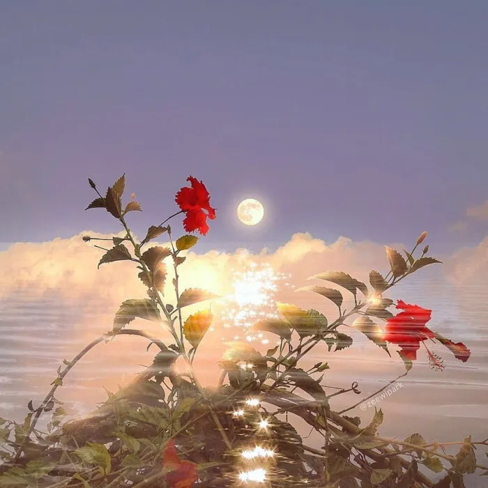 《干净气质短句》