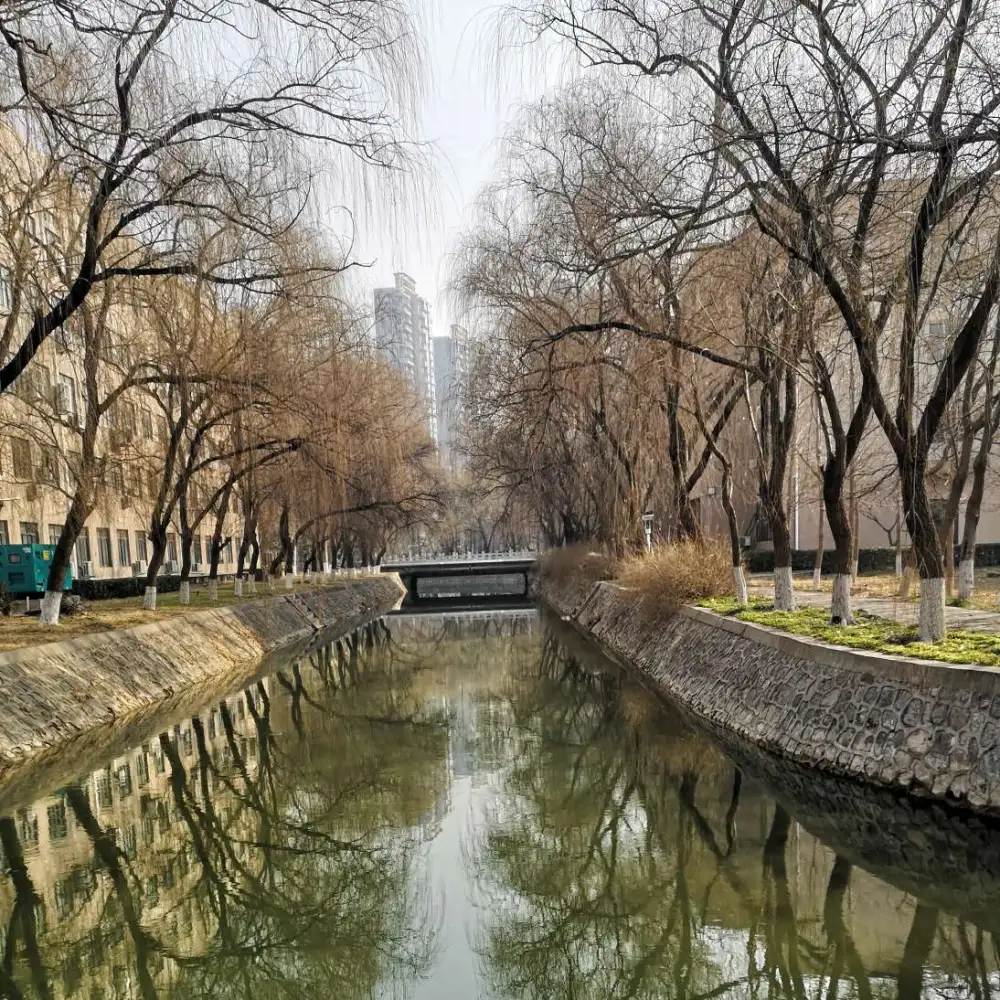 毒鸡汤
