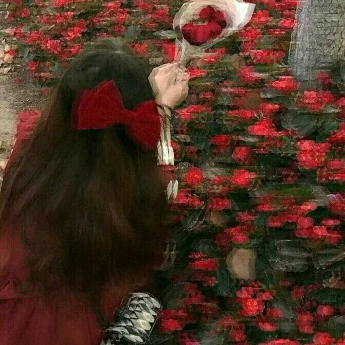 山茶的嫣红终究抵不过大海深处的群青