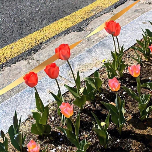 不想上学的搞笑句子 