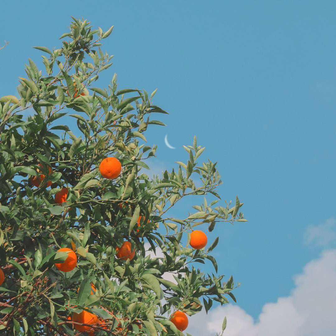 影视句子小卖部