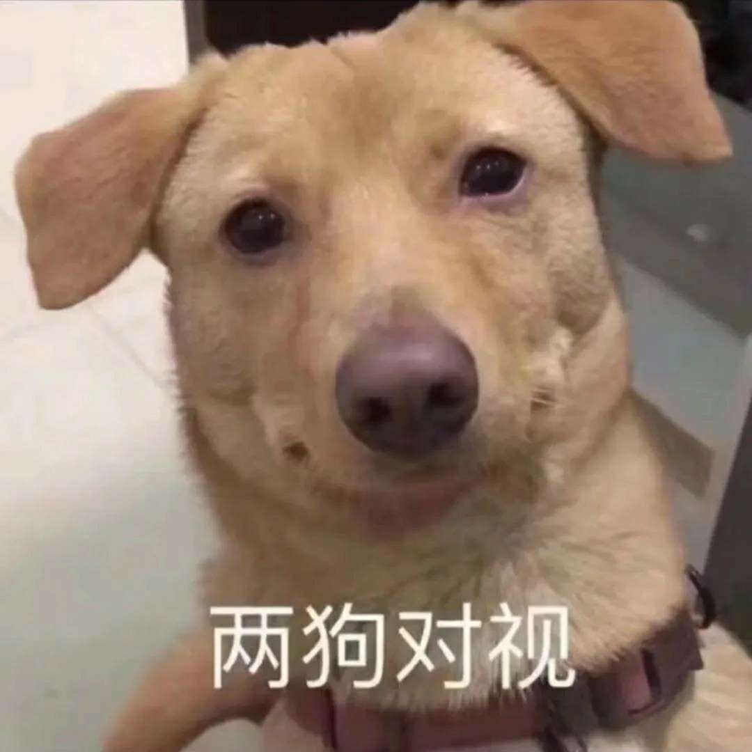 沙雕小语录