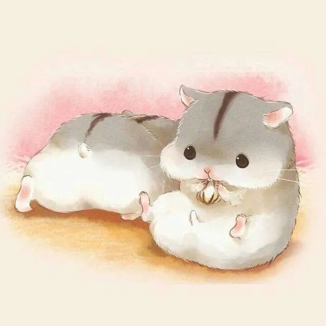 礼