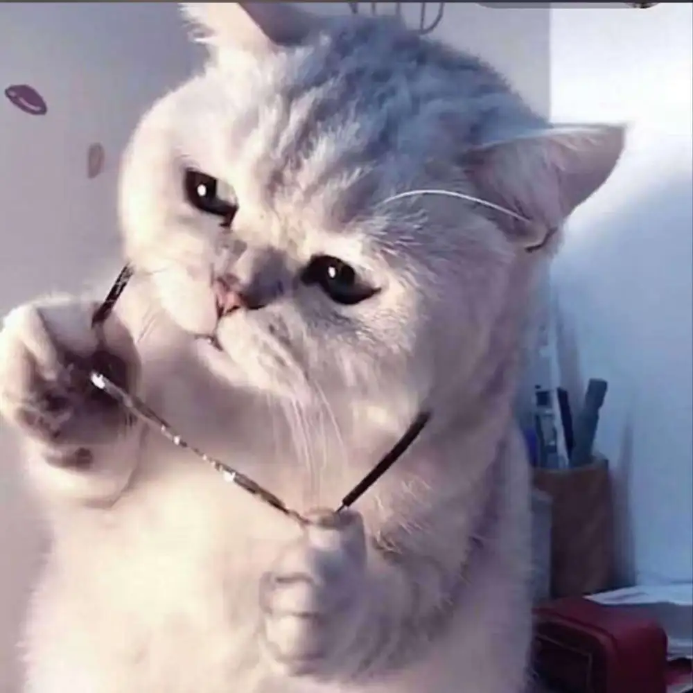 情感语录