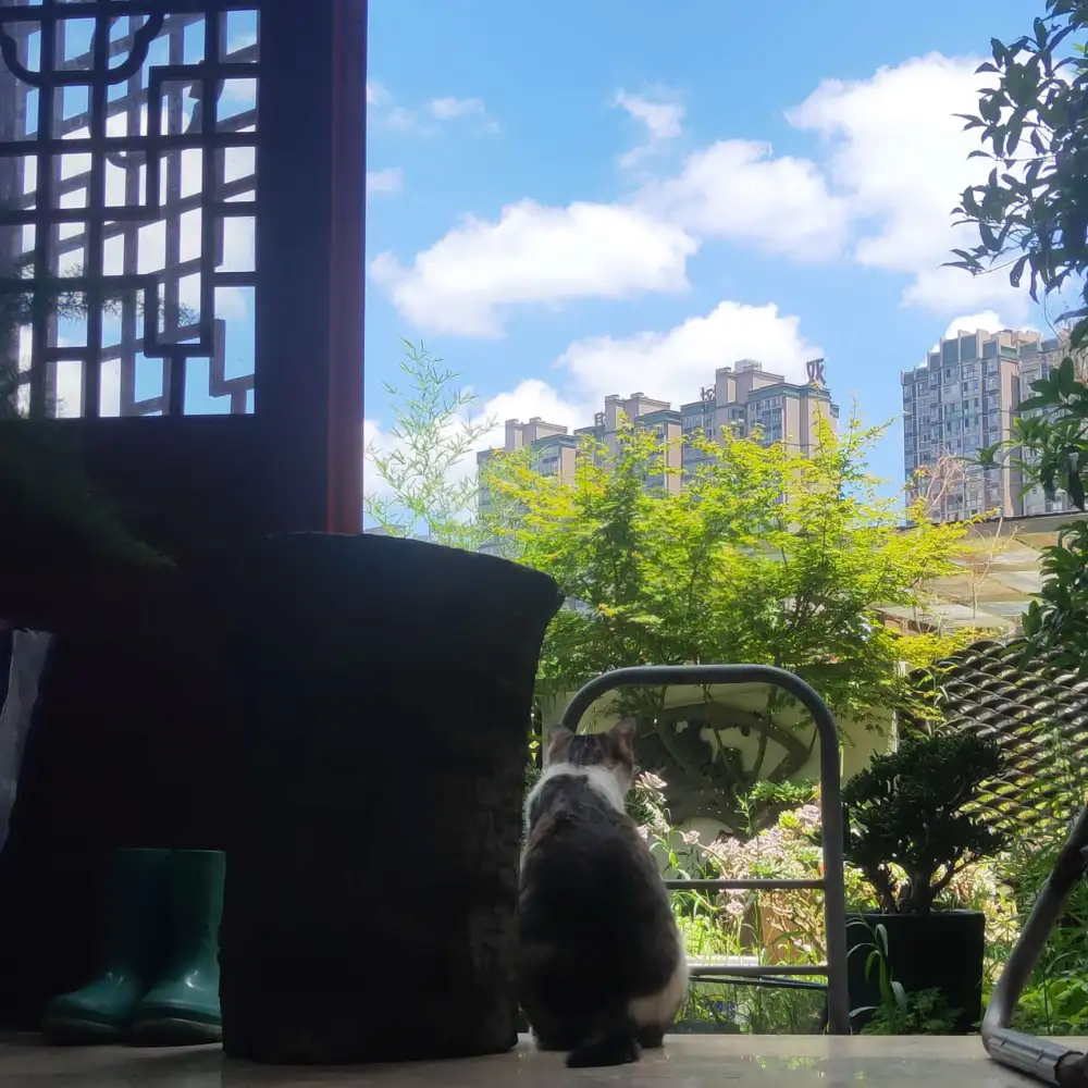 天边的云