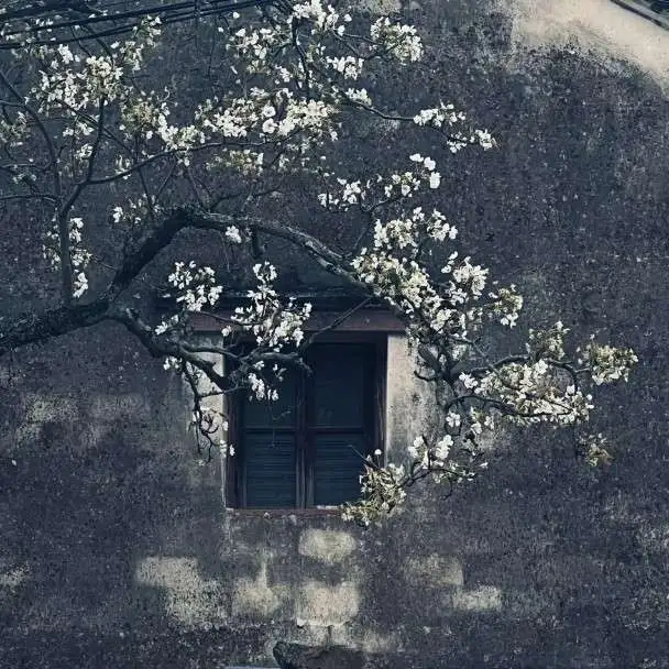 原创 随笔