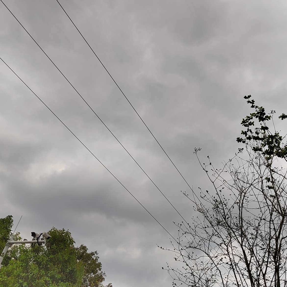 心理学基础研读