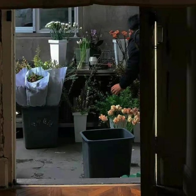 人间有味是清欢