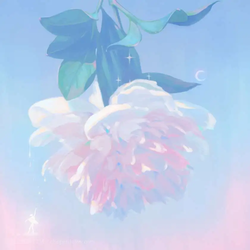 美句专辑