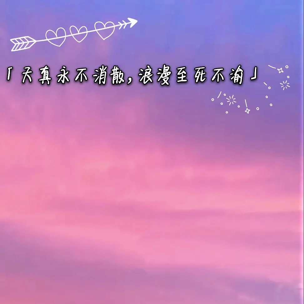 小说（言情）