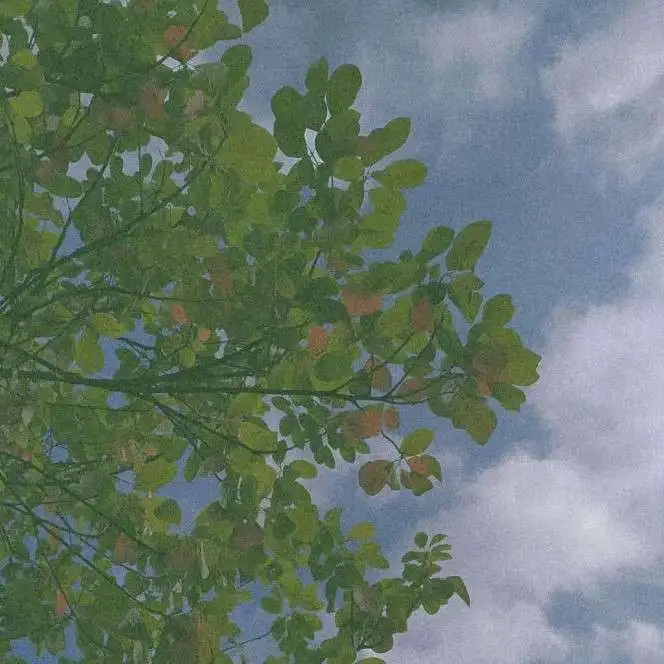 夏天