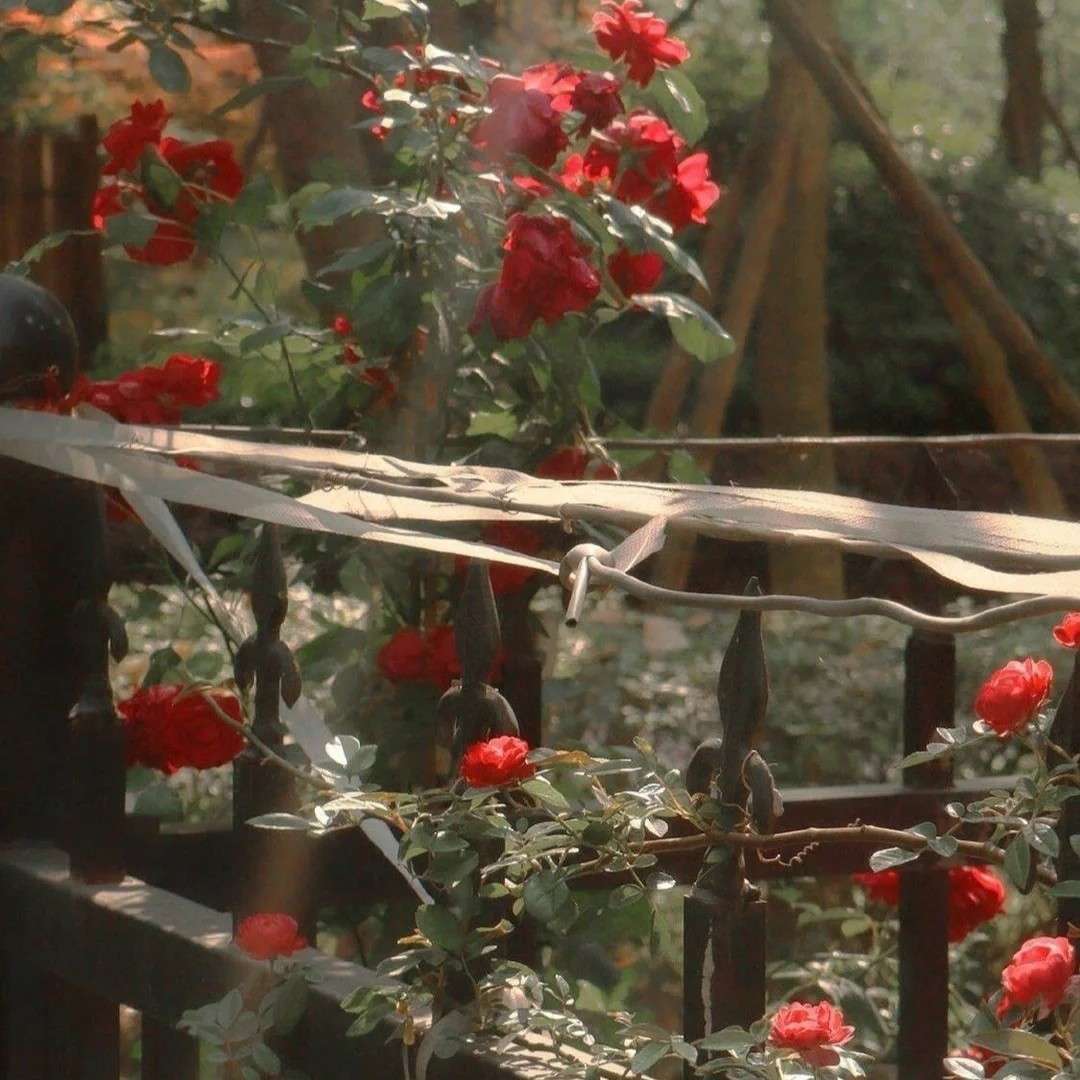 漫画里的，让你惊艳的句子