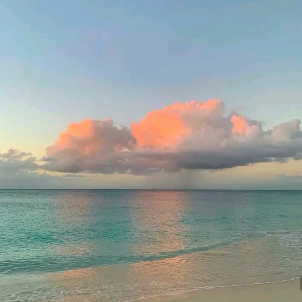 忍把浮名，换了浅酌低唱