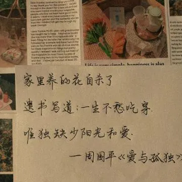 一个人的精神疗养院