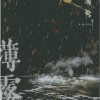 薄雾[无限]