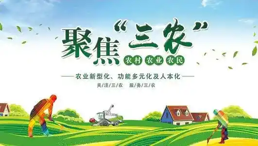 聚焦三农
