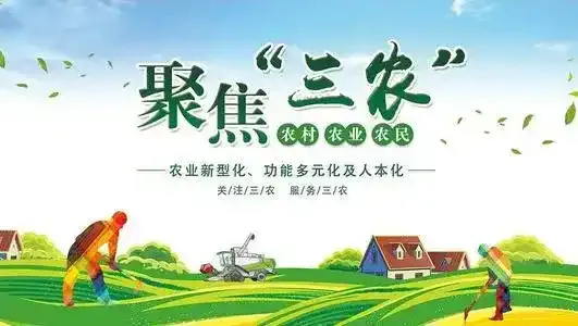 聚焦三农