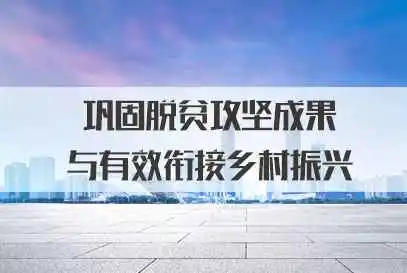 巩固脱贫成果