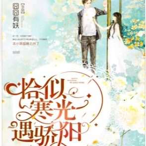 《恰似寒光遇骄阳》