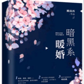 《暗黑系暖婚》
