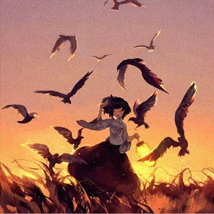 仲夏夜的荒野.的专辑