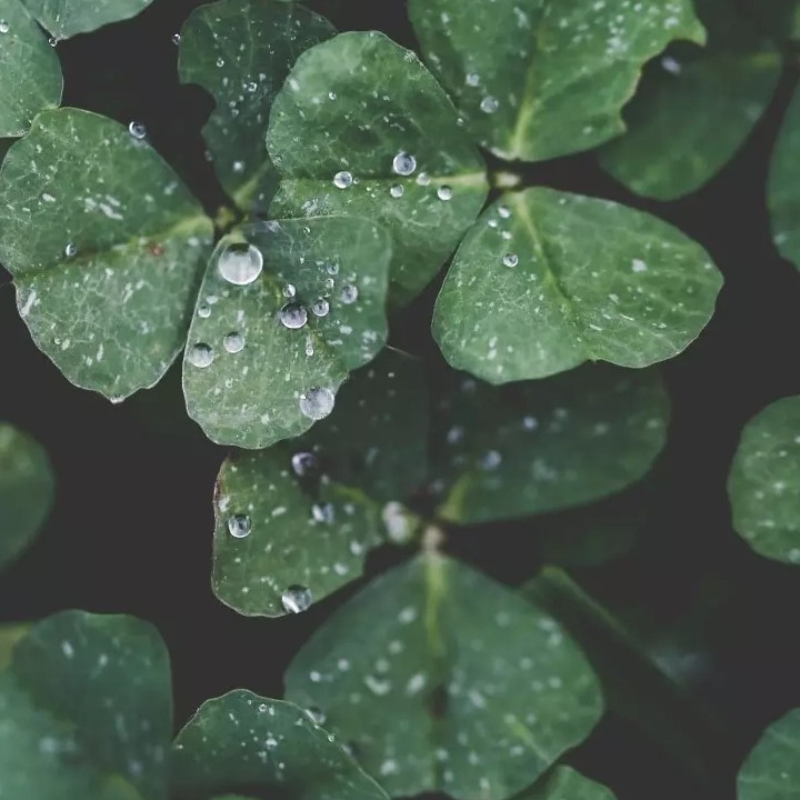 一寸小鱼的专辑