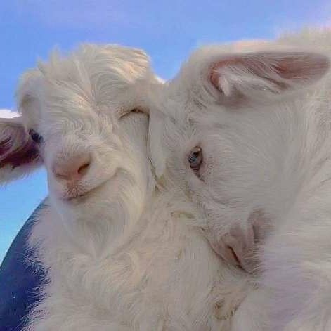 要学会积极面对这个世界