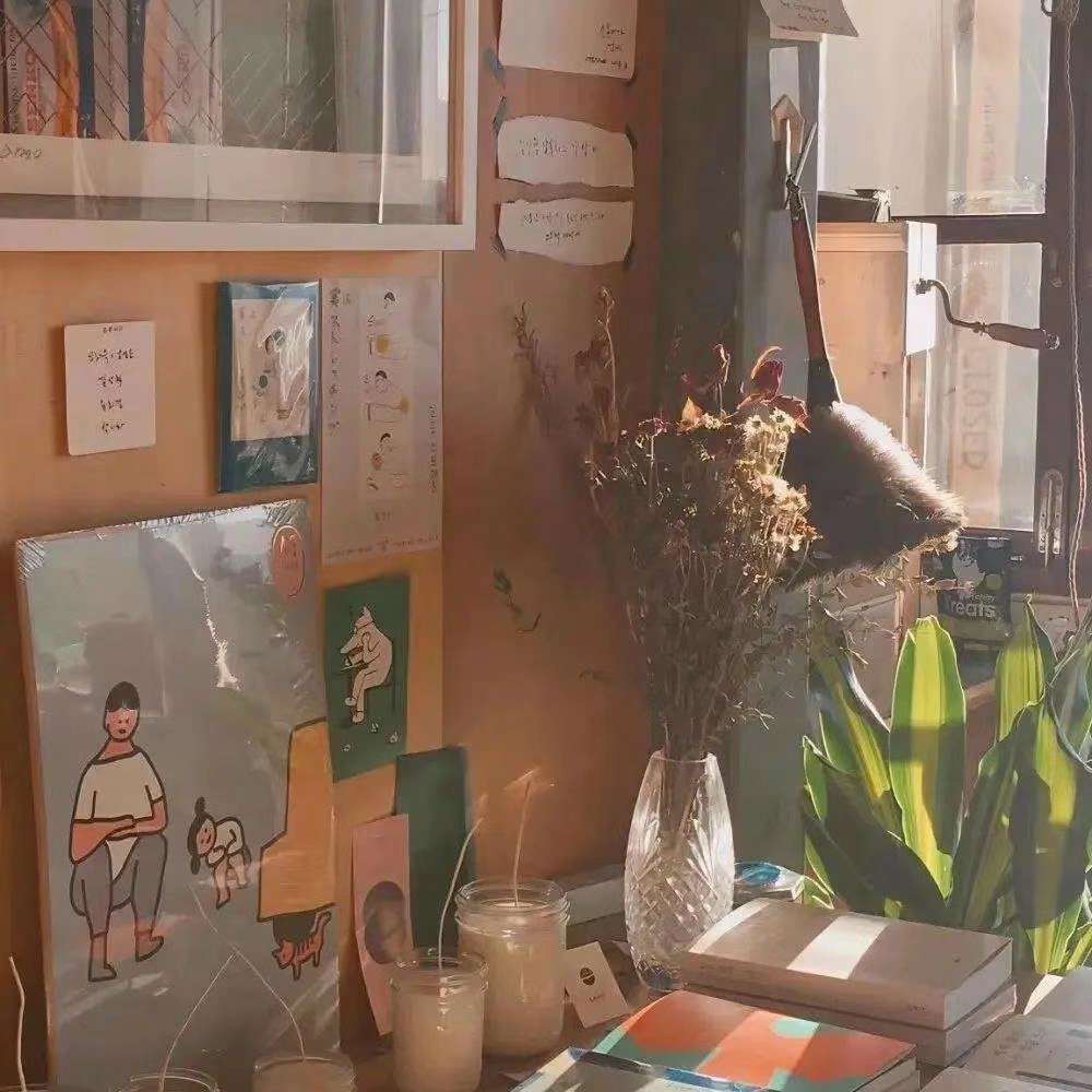 佛系少女·简·安