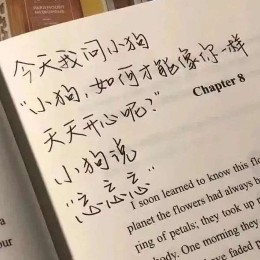 有趣的灵魂万里挑一🤩🤩🤩