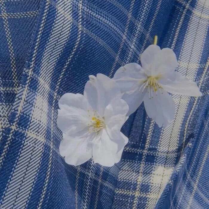 和考试勉励有关的句子