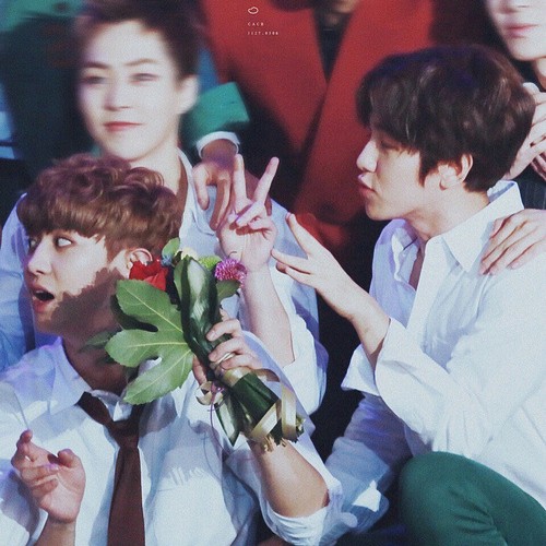 《世界和我爱着你》