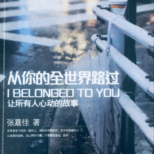 从你的全世界路过