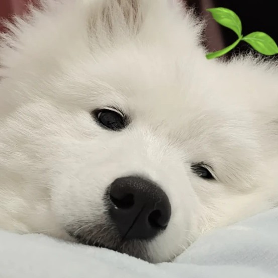 更世界观地角度俯瞰世界