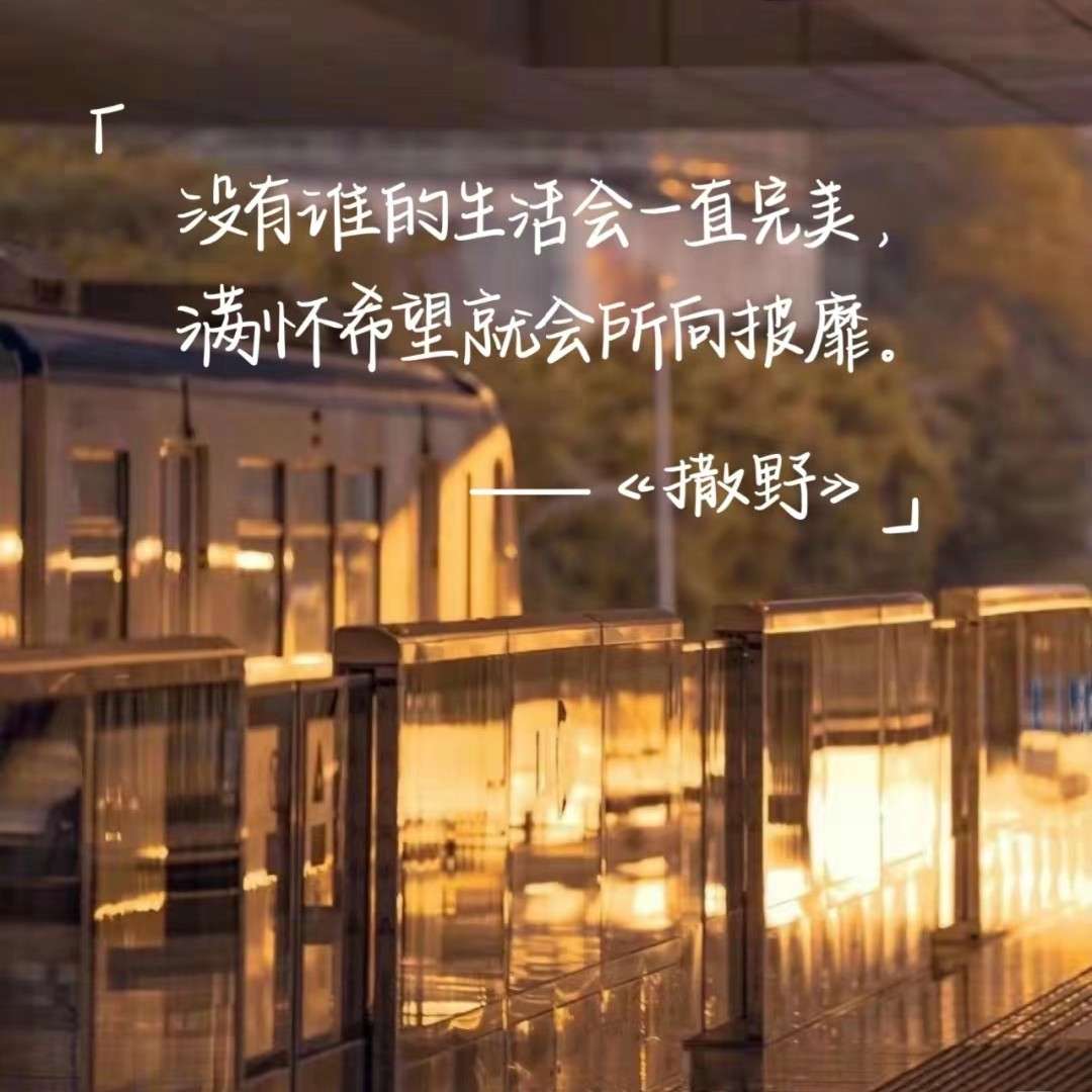 人民日报中---金句