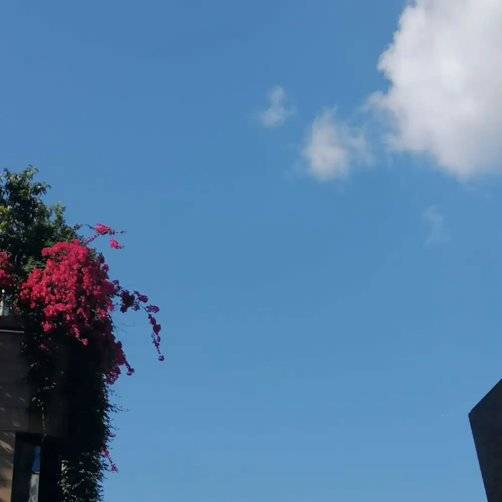 夏天