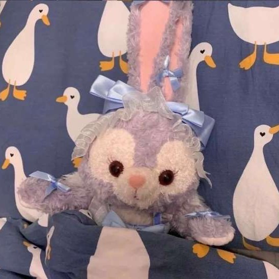 小说精华💗💗