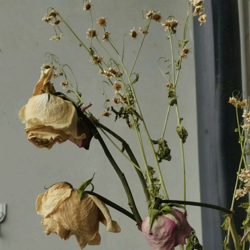 分手前最后一句话