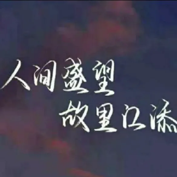 某某语录